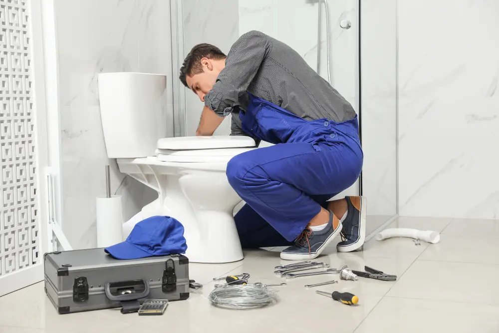 Toilet Installation in Pine Hills