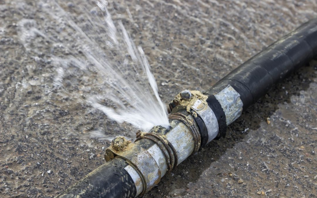 Emergency Plumbing in Pine Hills